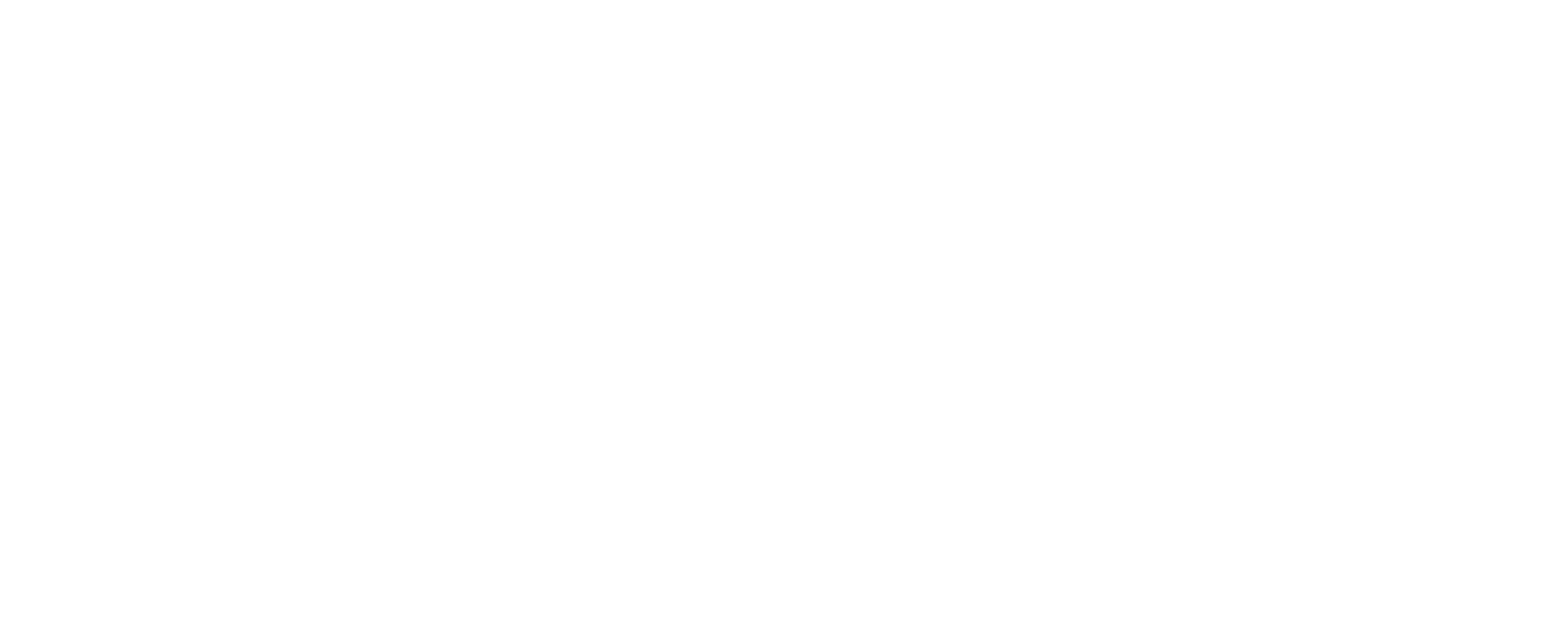 логотип-ентер